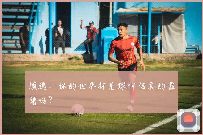 慎选!你的世界杯看球伴侣真的靠谱吗?
