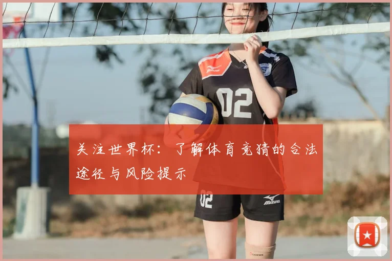 关注世界杯:了解体育竞猜的合法途径与风险提示