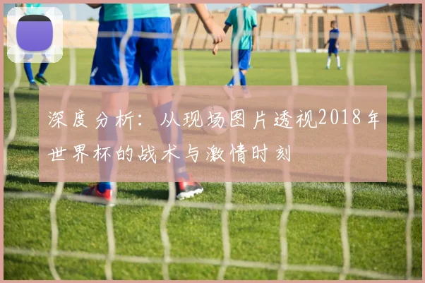 深度分析:从现场图片透视2018年世界杯的战术与激情时刻